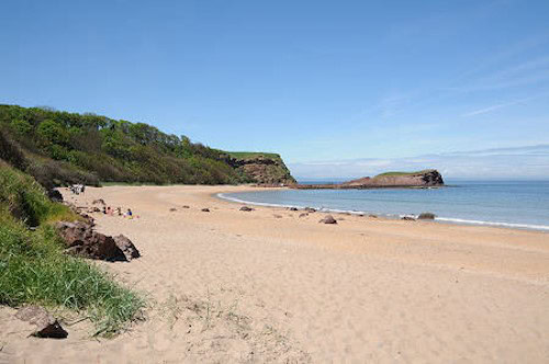 Seacliff Beach wedding location