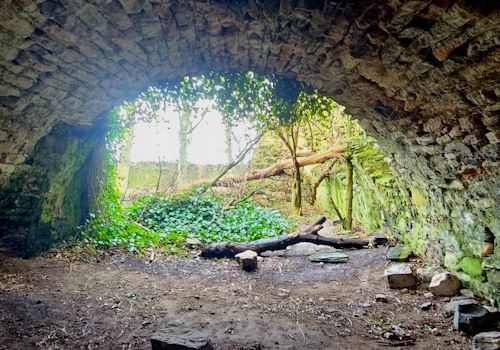 Vault at Auldhame Castle